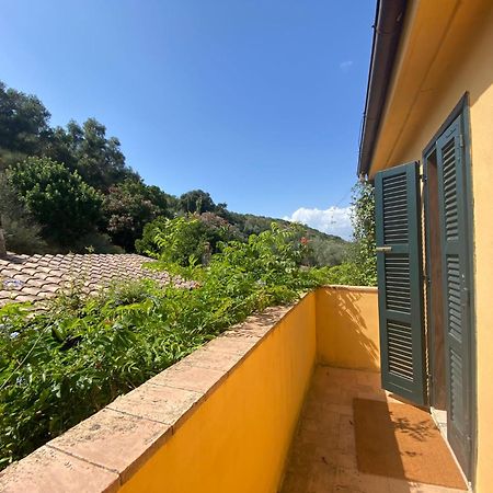 Il Fontino Capalbio Daire Pescia Fiorentina Dış mekan fotoğraf