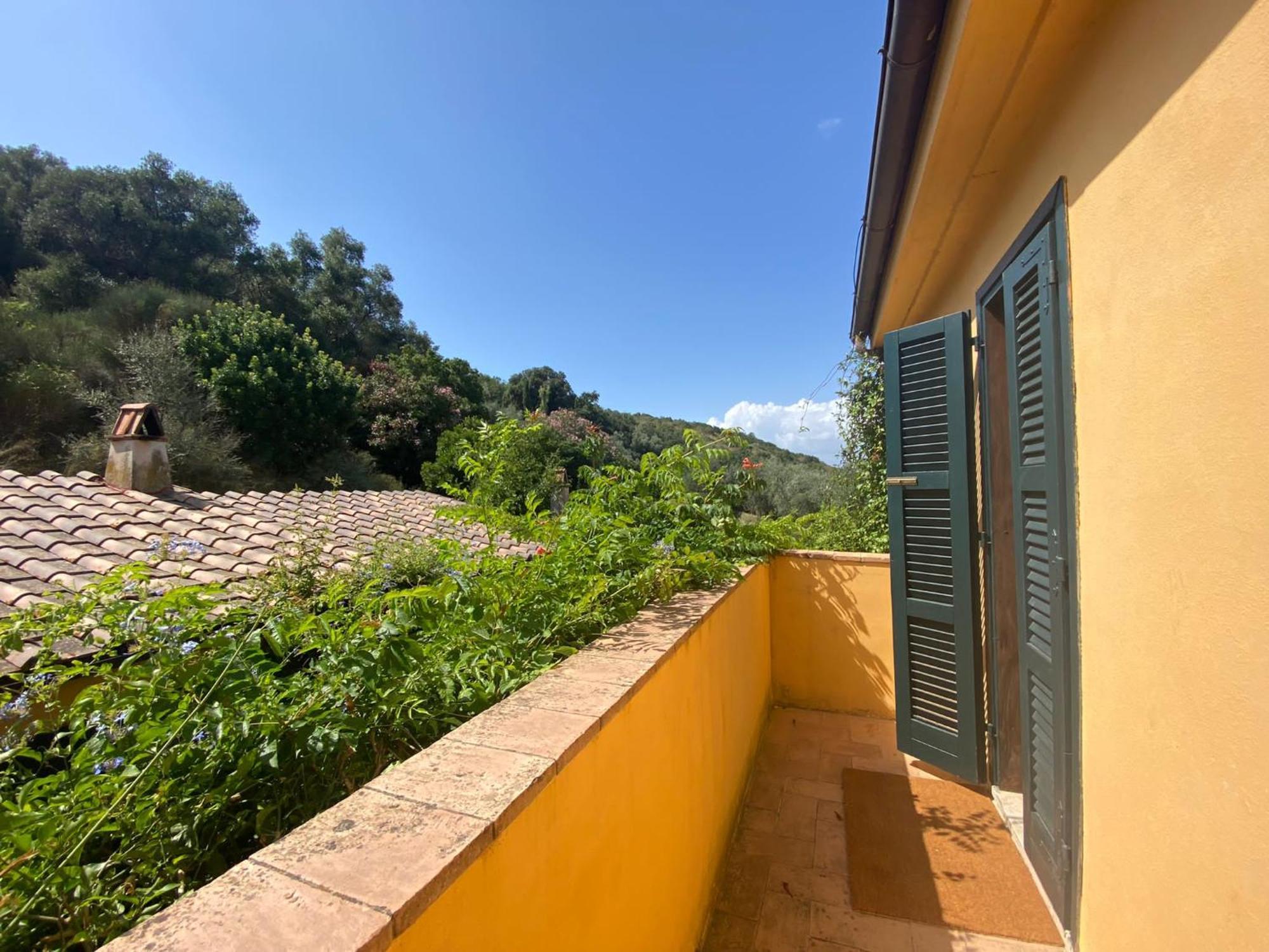 Il Fontino Capalbio Daire Pescia Fiorentina Dış mekan fotoğraf