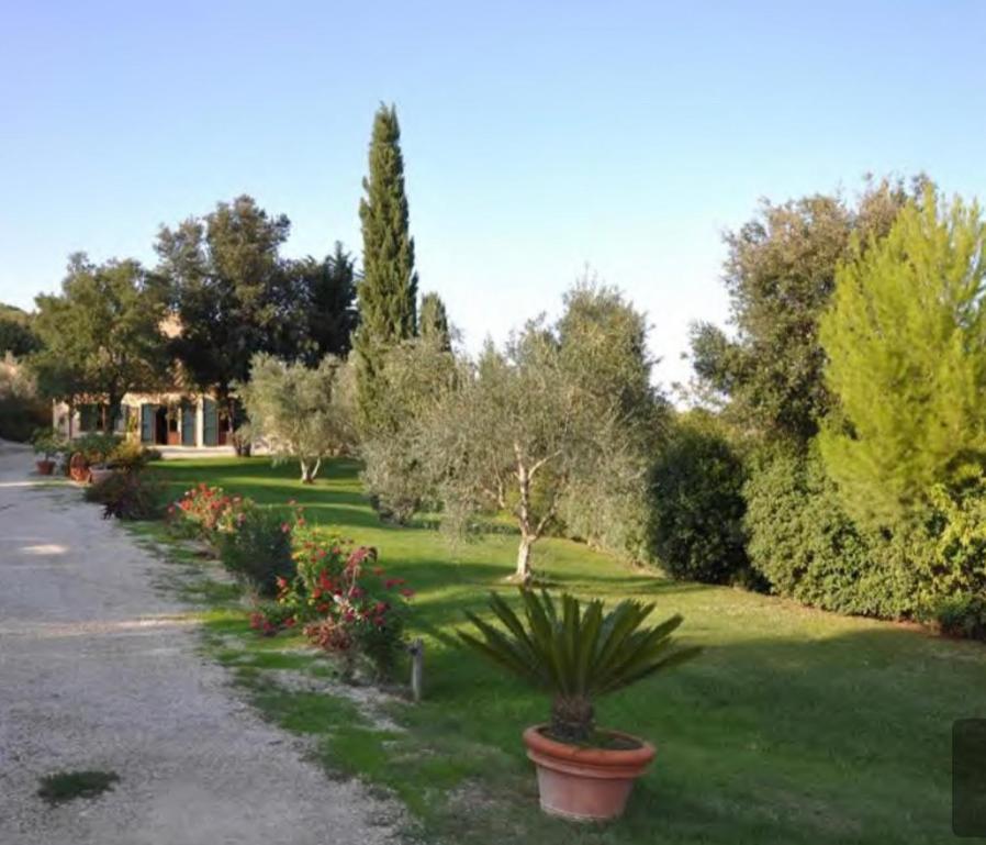Il Fontino Capalbio Daire Pescia Fiorentina Dış mekan fotoğraf